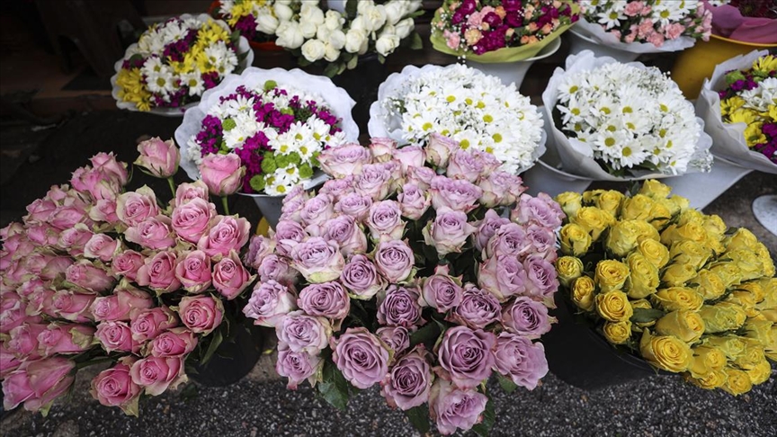 Hasanbeyli Çiçekci